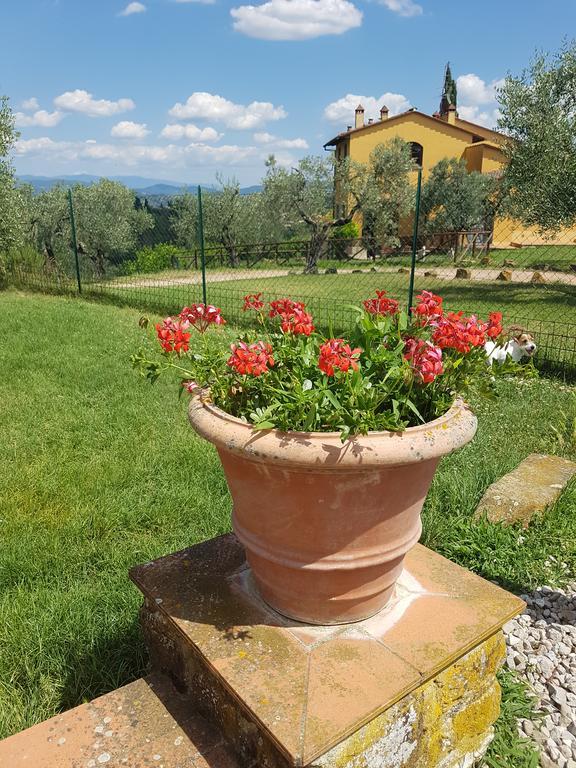 Agriturismo Il Pintello San Casciano in Val di Pesa Exterior photo