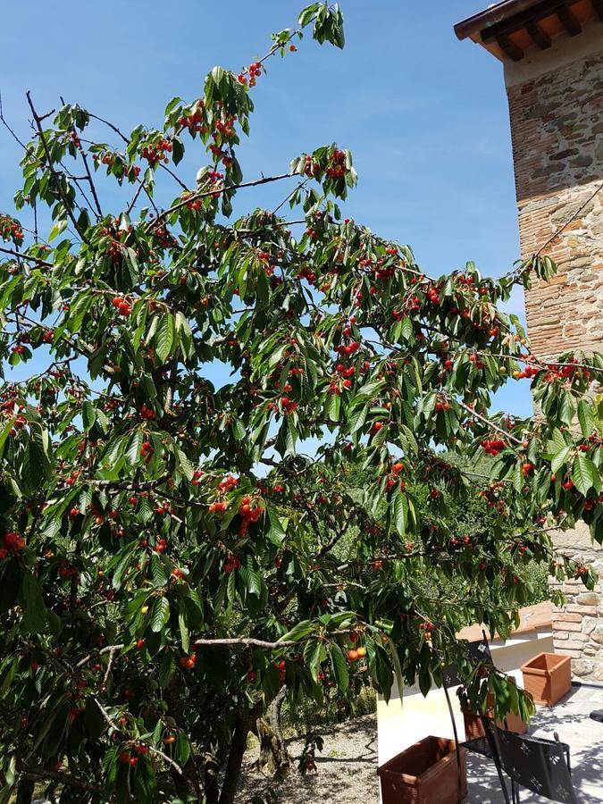 Agriturismo Il Pintello San Casciano in Val di Pesa Exterior photo